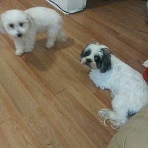 Meet your Posher, Angela